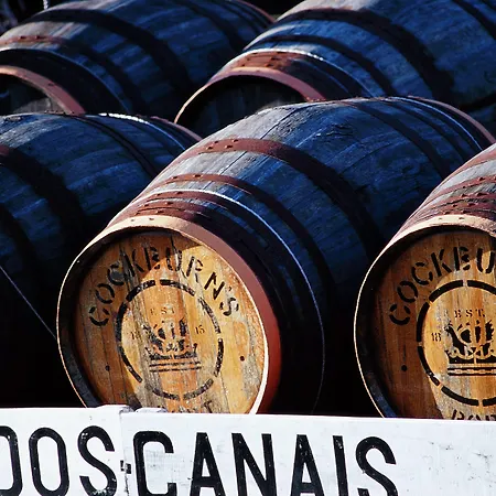 Ibis Porto Sul Europarque סנטה מריה דה פיירה