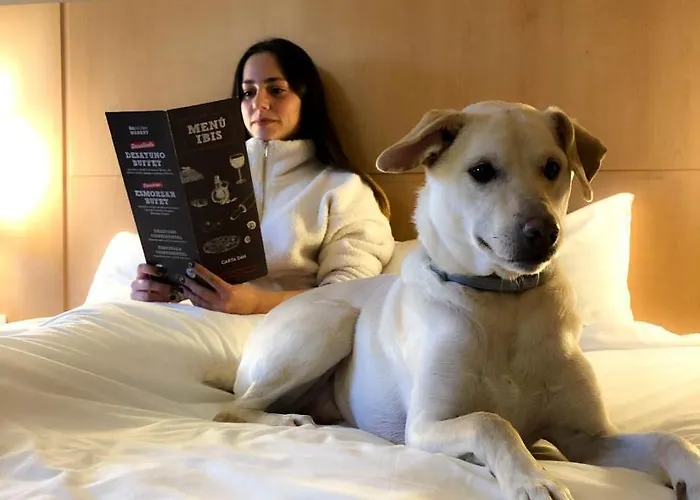 Ibis Porto Sul Europarque Otel