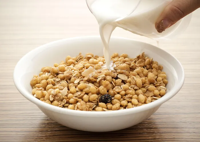 Hotel Ibis Porto Sul Europarque Santa Maria da Feira