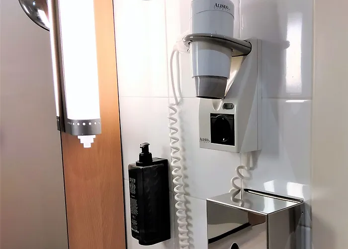 Ibis Porto Sul Europarque Otel 2*