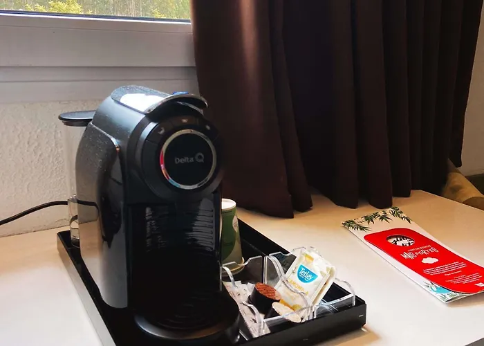 Ibis Porto Sul Europarque 2* Santa Maria da Feira